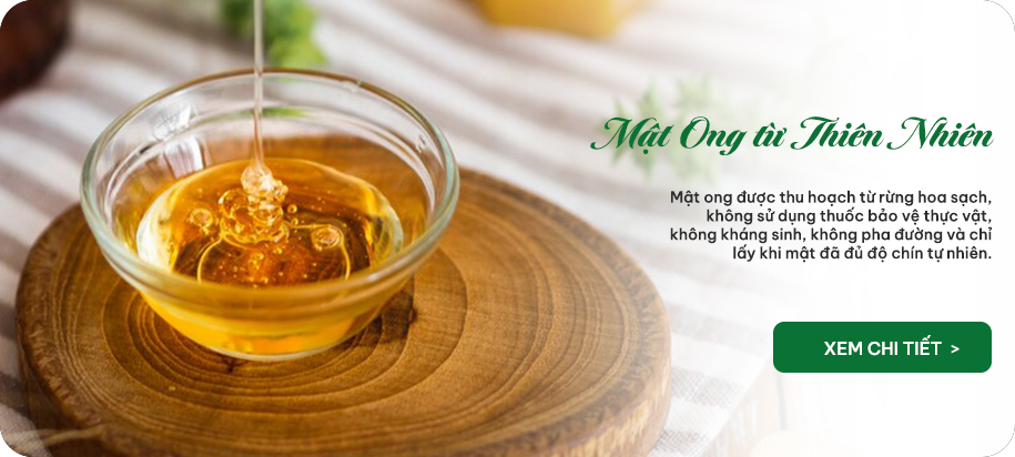 Banner Mật Ong Ba An Foods