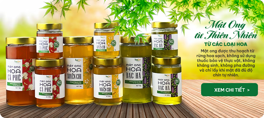 Banner Mật Ong Ba An Foods