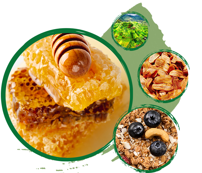 Hình Nền Giới Thiệu Ba An Foods