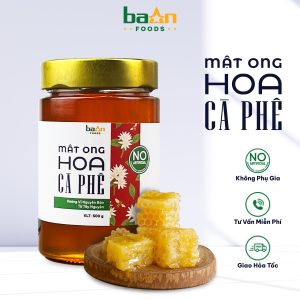 Mật Ong Hoa Cà Phê Nguyên Chất Ba An Foods - 500g